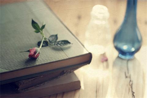 浙江专升本难不难?自学能不能上岸?