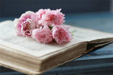 浙江专升本加分政策!快来看看,你能加分吗?