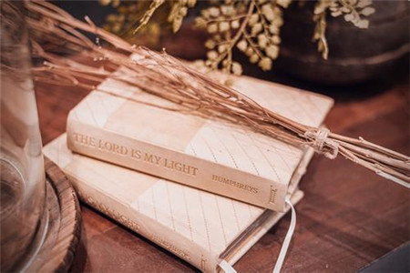 浙江自考 热门专业