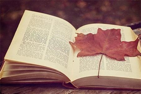 学前教育创新成果奖揭晓