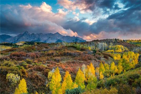 杭州科技职业技术学院成考专升本学费标准是?