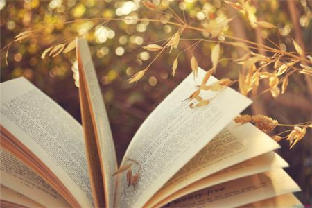 2020年浙江专升本：计算机简答题