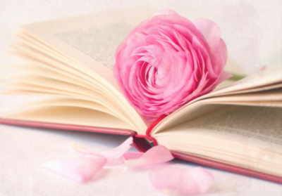 2020浙江专升本分数线预估