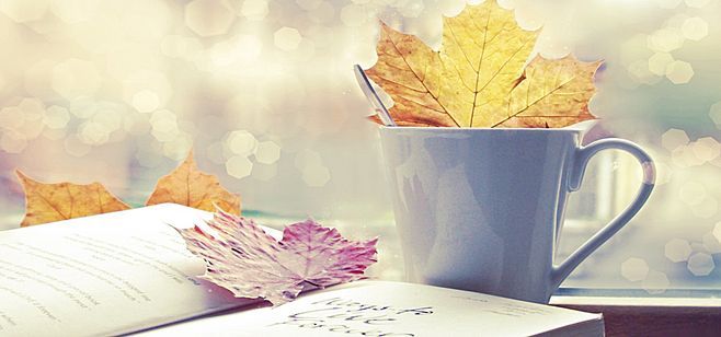 浙江统招专升本备考资料：英语核心词汇(五)