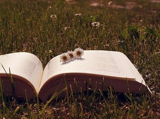 温州医科大学专升本报名条件