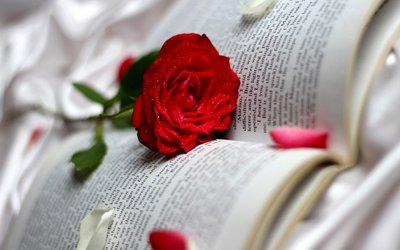 浙江专升本：大学语文模拟题(五)