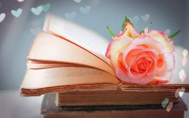 浙江统招专升本比高考容易吗?