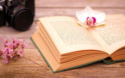 浙江统招专升本有必要报班吗?