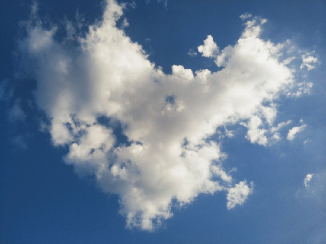 浙江成考专升本考什么