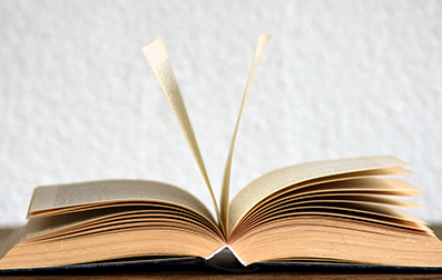 大二能报名浙江专升本吗?