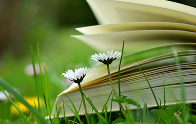 全日制专升本很尴尬吗