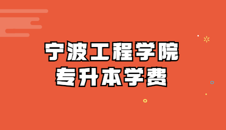 宁波工程学院专升本学费