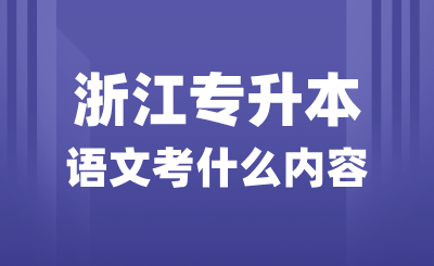 浙江专升本语文考什么内容？议论文怎么写？